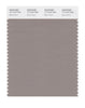 Pantone SMART Color Swatch 17-1210 TCX Moon Rock