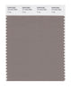 Pantone SMART Color Swatch 17-1212 TCX Fungi