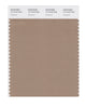 Pantone SMART Color Swatch 17-1319 TCX Amphora