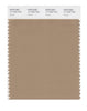 Pantone SMART Color Swatch 17-1320 TCX Tannin