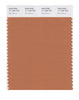 Pantone SMART Color Swatch 17-1436 TCX Raw Sienna