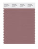 Pantone SMART Color Swatch 17-1516 TCX Burlwood