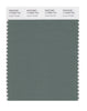 Pantone SMART Color Swatch 17-6009 TCX Laurel Wreath