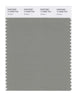 Pantone SMART Color Swatch 17-6206 TCX Shadow