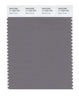 Pantone SMART Color Swatch 17-1503 TCX Storm Front