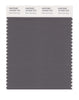 Pantone SMART Color Swatch 18-0403 TCX Dark Gull Gray