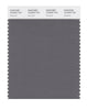 Pantone SMART Color Swatch 18-0503 TCX Gargoyle