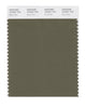 Pantone SMART Color Swatch 18-0521 TCX Burnt Olive