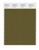 Pantone SMART Color Swatch 18-0627 TCX Fir Green