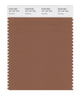 Pantone SMART Color Swatch 18-1137 TCX Rawhide