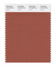 Pantone SMART Color Swatch 18-1343 TCX Auburn