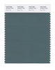 Pantone SMART Color Swatch 18-5410 TCX Silver Pine