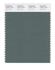 Pantone SMART Color Swatch 18-5611 TCX Dark Forest