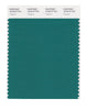Pantone SMART Color Swatch 18-5619 TCX Tidepool