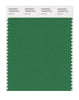 Pantone SMART Color Swatch 18-6024 TCX Amazon