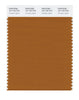 Pantone SMART Color Swatch 18-1163 TCX Pumpkin Spice