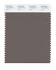 Pantone SMART Color Swatch 18-1304 TCX Falcon