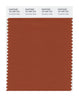 Pantone SMART Color Swatch 18-1345 TCX Cinnamon Stick