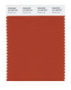 Pantone SMART Color Swatch 18-1355 TCX Rooibos Tea