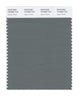 Pantone SMART Color Swatch 18-5806 TCX Agave Green