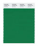 Pantone SMART Color Swatch 18-6030 TCX Jolly Green