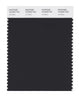 Pantone SMART Color Swatch 19-0303 TCX Jet Black