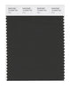 Pantone SMART Color Swatch 19-0508 TCX Peat