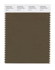 Pantone SMART Color Swatch 19-0618 TCX Beech