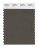 Pantone SMART Color Swatch 19-0822 TCX Tarmac