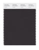 Pantone SMART Color Swatch 19-1102 TCX Licorice