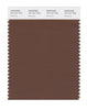 Pantone SMART Color Swatch 19-1121 TCX Pinecone