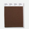 Pantone Polyester Swatch Card 19-1206 TSX Ristretto