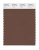 Pantone SMART Color Swatch 19-1217 TCX Mustang