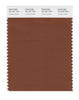 Pantone SMART Color Swatch 19-1241 TCX Tortoise Shell