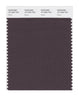 Pantone SMART Color Swatch 19-1606 TCX Raisin