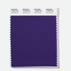 Pantone Polyester Swatch Card 19-3829 TSX Violet Crescent