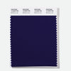 Pantone Polyester Swatch Card 19-3949 TSX _Blackberry Jam