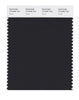 Pantone SMART Color Swatch 19-4006 TCX Caviar