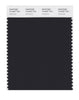 Pantone SMART Color Swatch 19-4007 TCX Anthracite