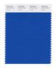 Pantone SMART Color Swatch 19-4151 TCX Skydiver