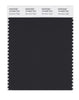 Pantone SMART Color Swatch 19-4203 TCX Moonless Night