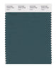 Pantone SMART Color Swatch 19-5413 TCX Jasper