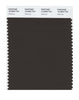 Pantone SMART Color Swatch 19-0840 TCX Delicioso