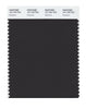 Pantone SMART Color Swatch 19-1103 TCX Espresso