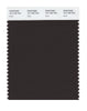 Pantone SMART Color Swatch Card 19-1106 TCX (Mole')