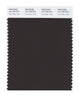 Pantone SMART Color Swatch 19-1109 TCX Chocolate Torte