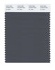 Pantone SMART Color Swatch 19-3910 TCX Iron Gate