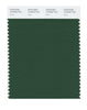 Pantone SMART Color Swatch 19-6050 TCX Eden