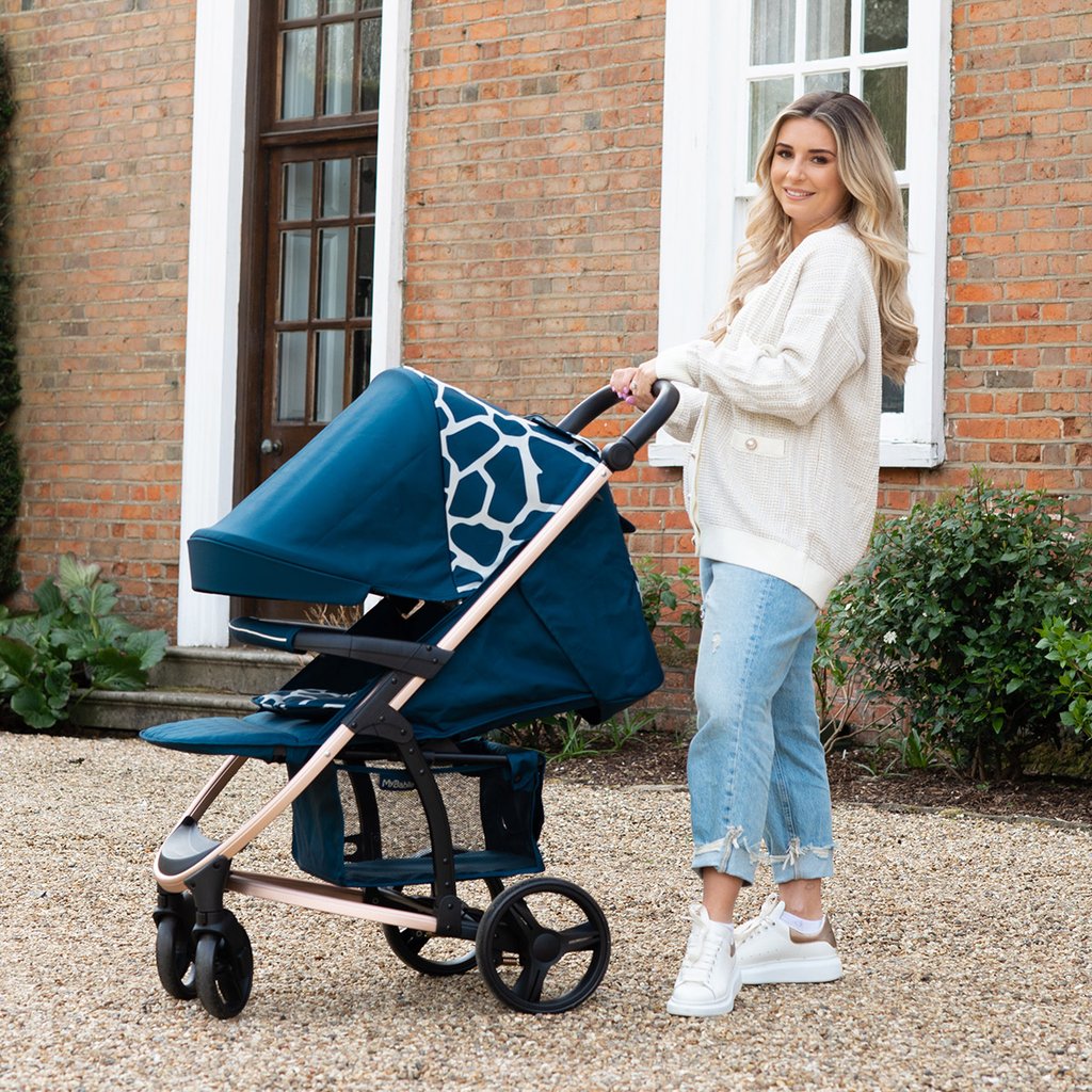 my babiie stroller dani dyer