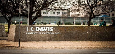 UC Davis, what not to bring